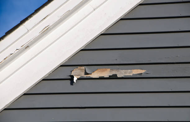Best Demolition Debris Removal  in Winsted, CT